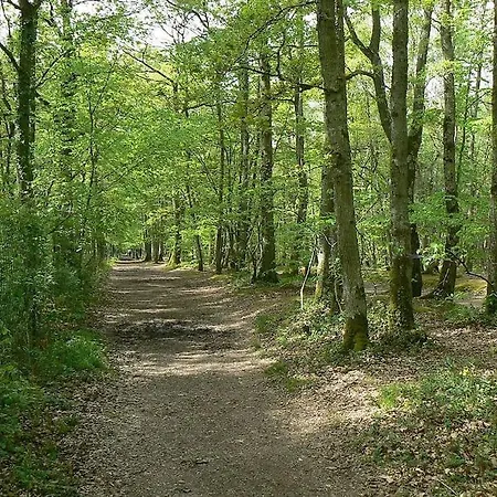 בית נופש Claire Centre Village Proche Foret